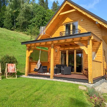 Domek Pod Groniem Mizerna Экстерьер фото