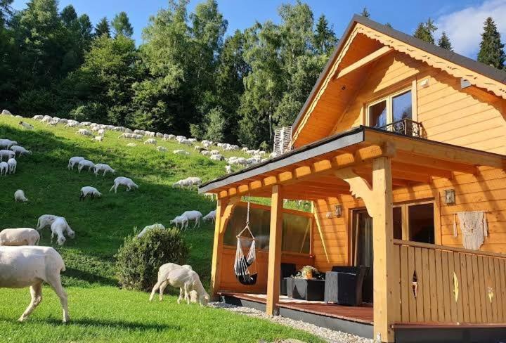 Domek Pod Groniem Mizerna Экстерьер фото