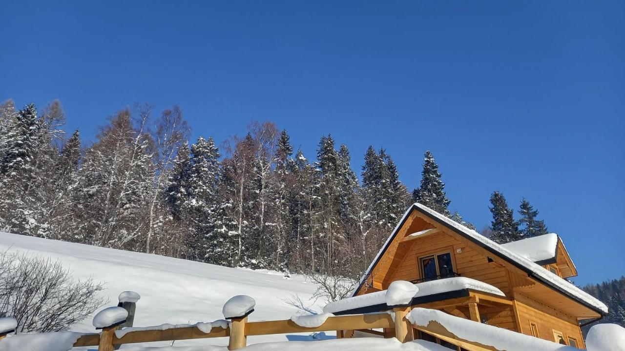 Domek Pod Groniem Mizerna Экстерьер фото